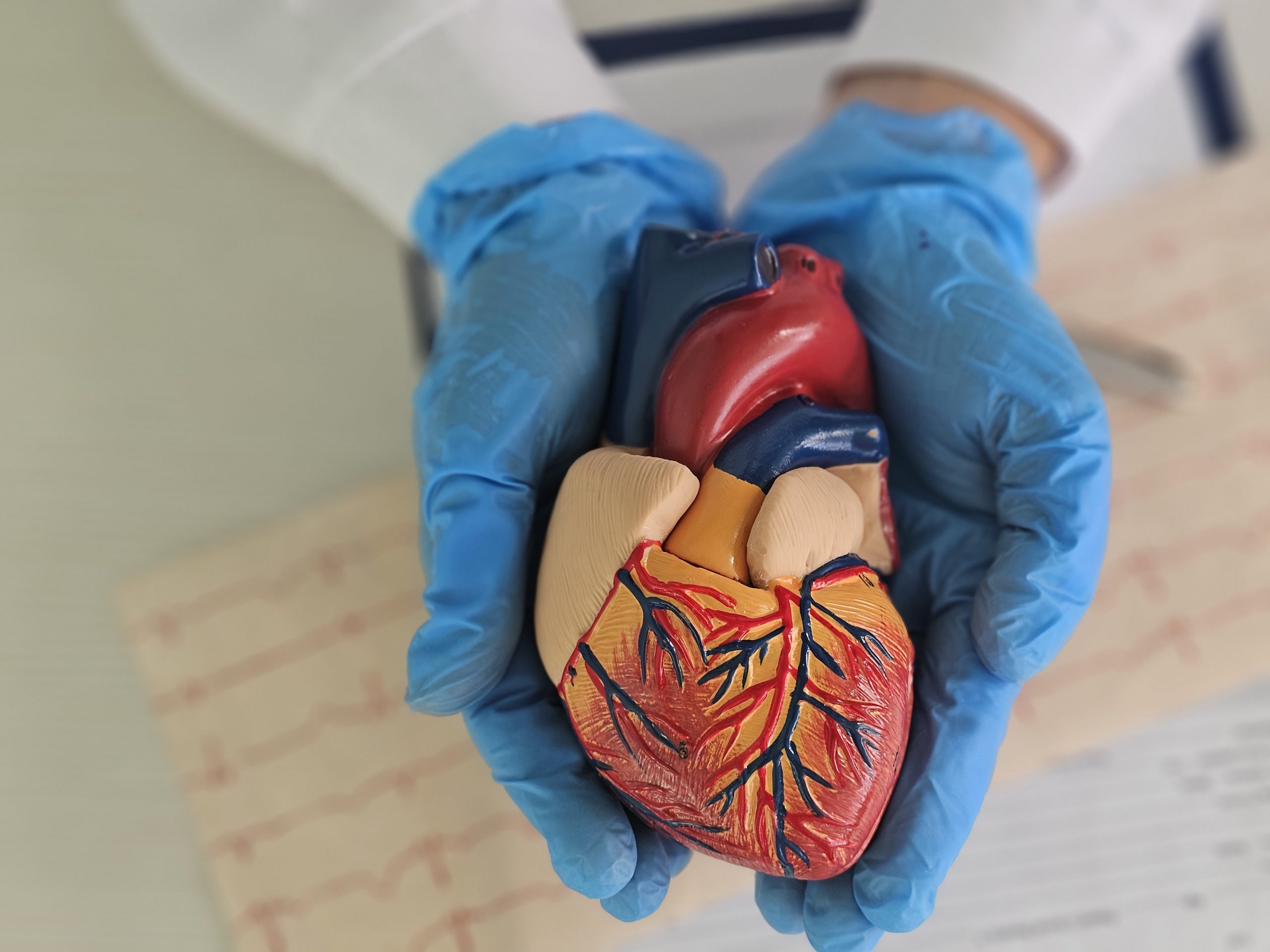 Here’s some cardiac NCLEX questions that’ll test your knowledge and help you prepare for exam day.