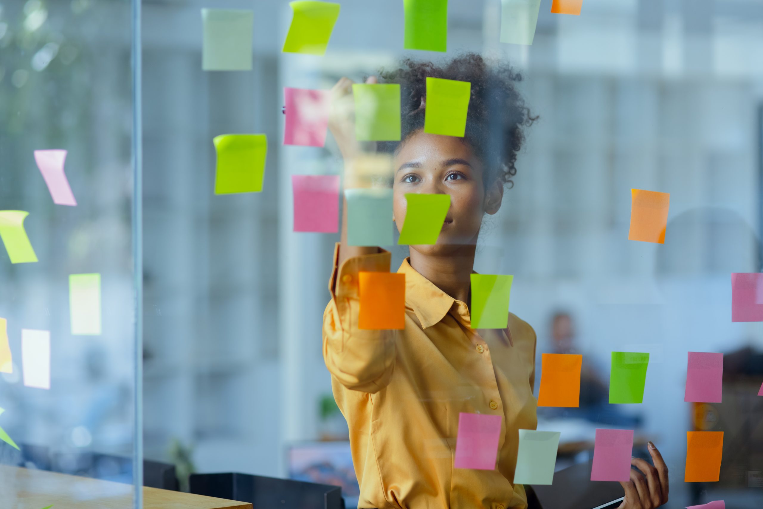 Here’s eight tips that’ll help you succeed during the didactic year of PA school.